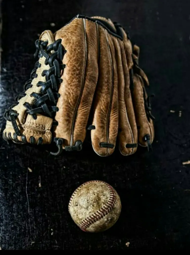 How to Oil a Baseball Glove Baseball Warehouse